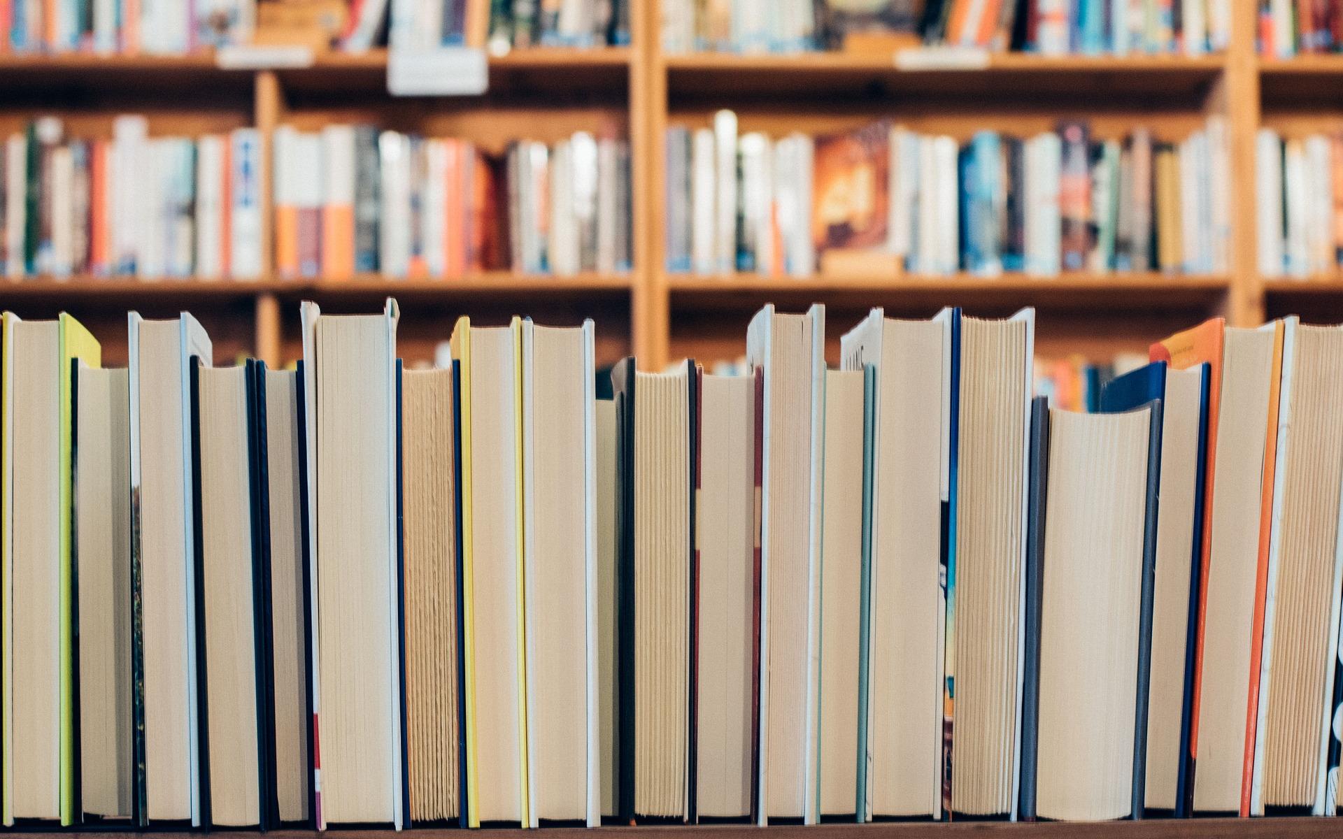 Teaser Bücherregal